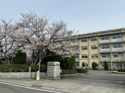 S__279683077